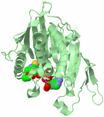 Image Biological Unit 2