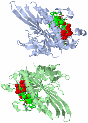 Image Asym. Unit - sites