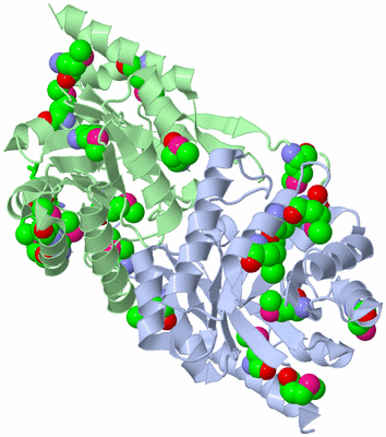 Image Asym./Biol. Unit - sites