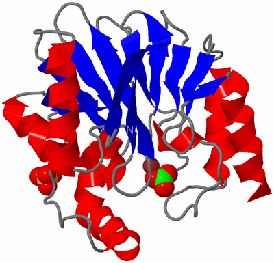 Image Asym./Biol. Unit