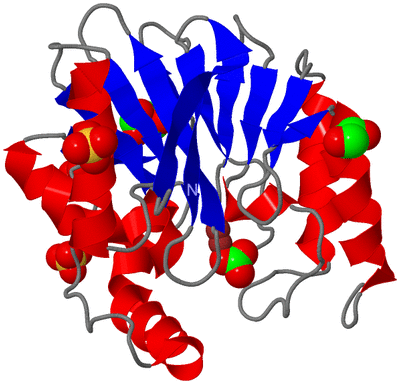 Image Asym./Biol. Unit