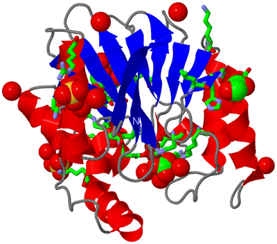 Image Asym./Biol. Unit - sites