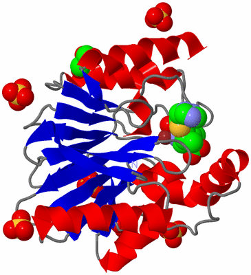 Image Asym./Biol. Unit