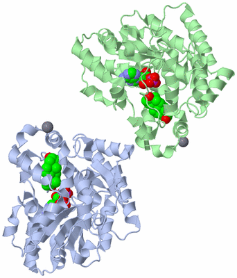 Image Asym./Biol. Unit