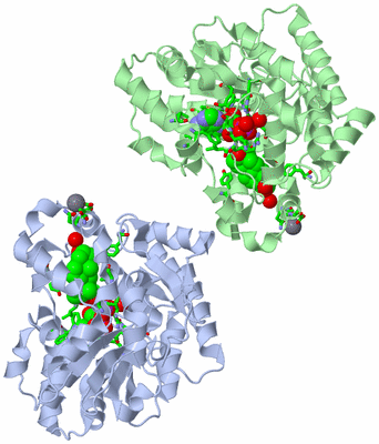 Image Asym./Biol. Unit - sites