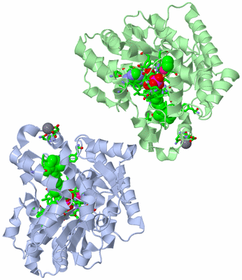 Image Asym./Biol. Unit - sites