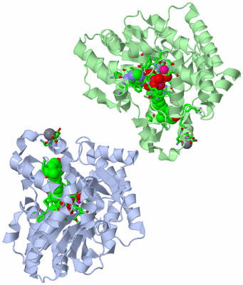 Image Asym./Biol. Unit - sites