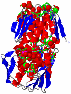 Image Asym./Biol. Unit - sites