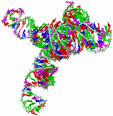 Image Biological Unit 2