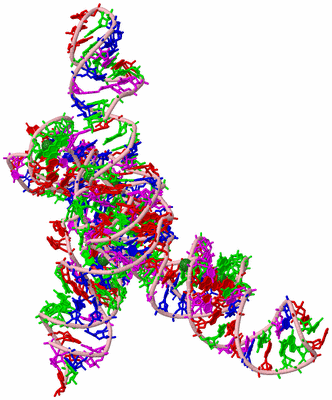 Image Biological Unit 3