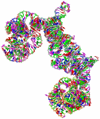 Image Asym. Unit - sites