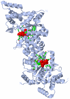 Image Biol. Unit 1 - sites