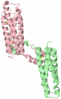 Image Biological Unit 2