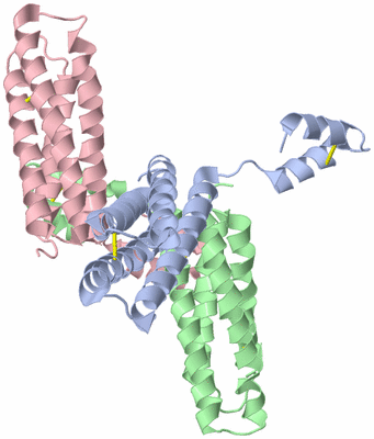 Image Biological Unit 3