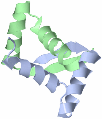 Image NMR Structure - model 1