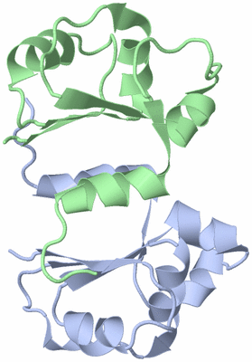 Image NMR Structure - model 1