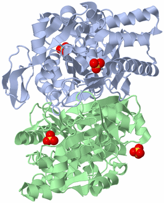 Image Asym./Biol. Unit