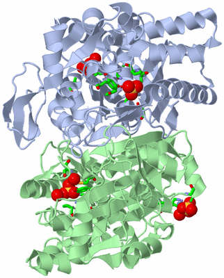 Image Asym./Biol. Unit - sites