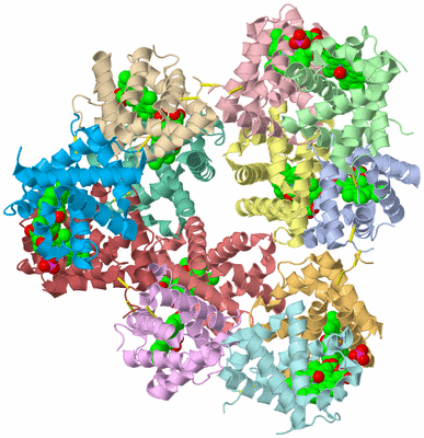 Image Asym./Biol. Unit