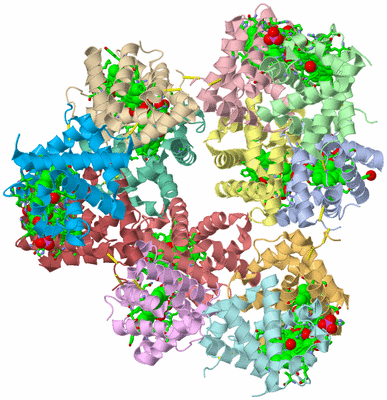 Image Asym./Biol. Unit - sites