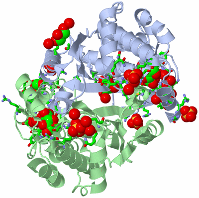 Image Asym./Biol. Unit - sites