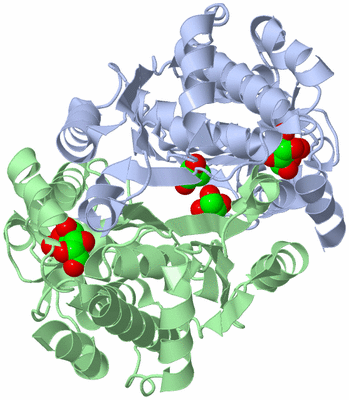 Image Asym./Biol. Unit