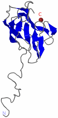 Image NMR Structure - model 1