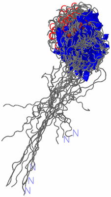 Image NMR Structure - all models