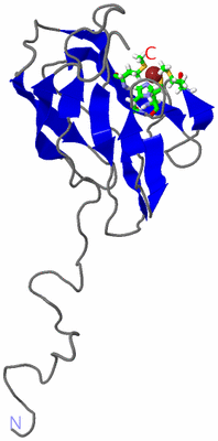 Image NMR Structure - model 1, sites