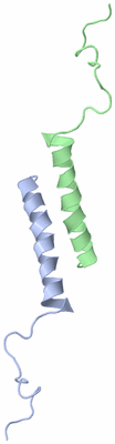 Image NMR Structure - model 1