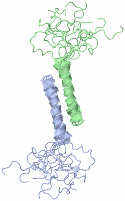 Image NMR Structure - all models