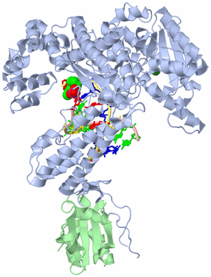 Image Asym./Biol. Unit