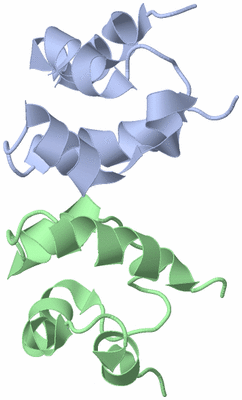 Image NMR Structure - model 1