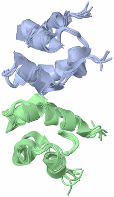 Image NMR Structure - all models