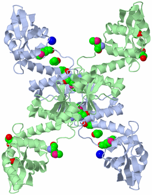 Image Biological Unit 2