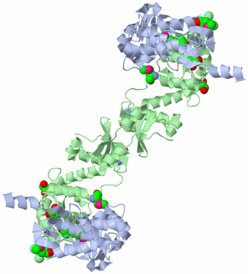 Image Biological Unit 3