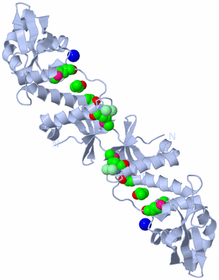 Image Biological Unit 4