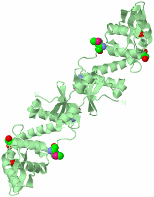 Image Biological Unit 5