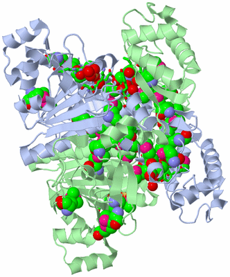 Image Asym./Biol. Unit - sites