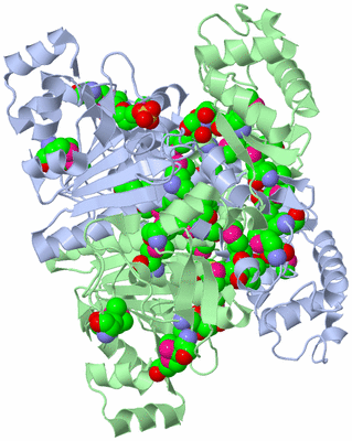 Image Asym./Biol. Unit