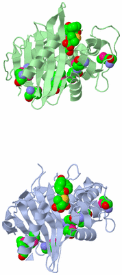 Image Asymmetric Unit