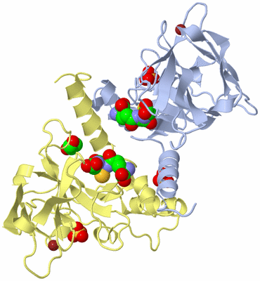 Image Biological Unit 1