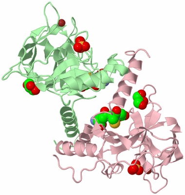 Image Biological Unit 2