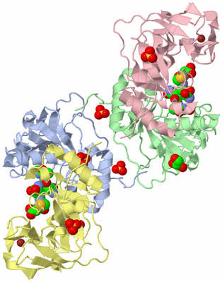 Image Biological Unit 3