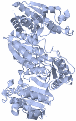 Image Biological Unit 1