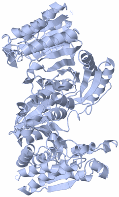 Image Biological Unit 1