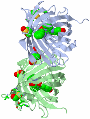 Image Asym. Unit - sites