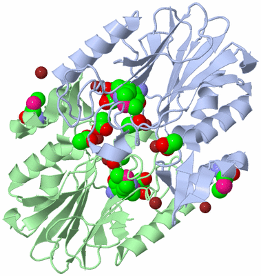 Image Asym./Biol. Unit