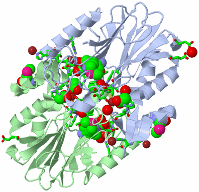 Image Asym./Biol. Unit - sites