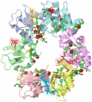 Image Biol. Unit 1 - sites